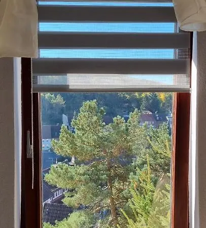 Ferienwohnung In St Andreasberg *