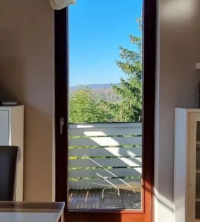 Lägenhet Ferienwohnung In St Andreasberg *